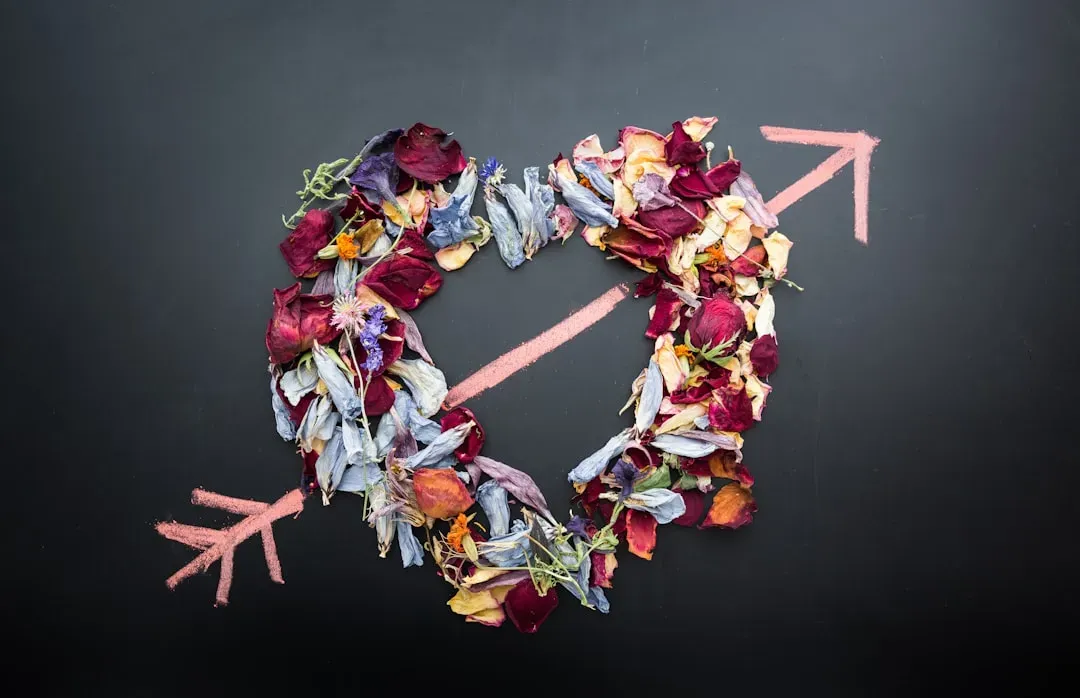 Sagittarius Gains Relationship Clarity (Image Credits: Unsplash)