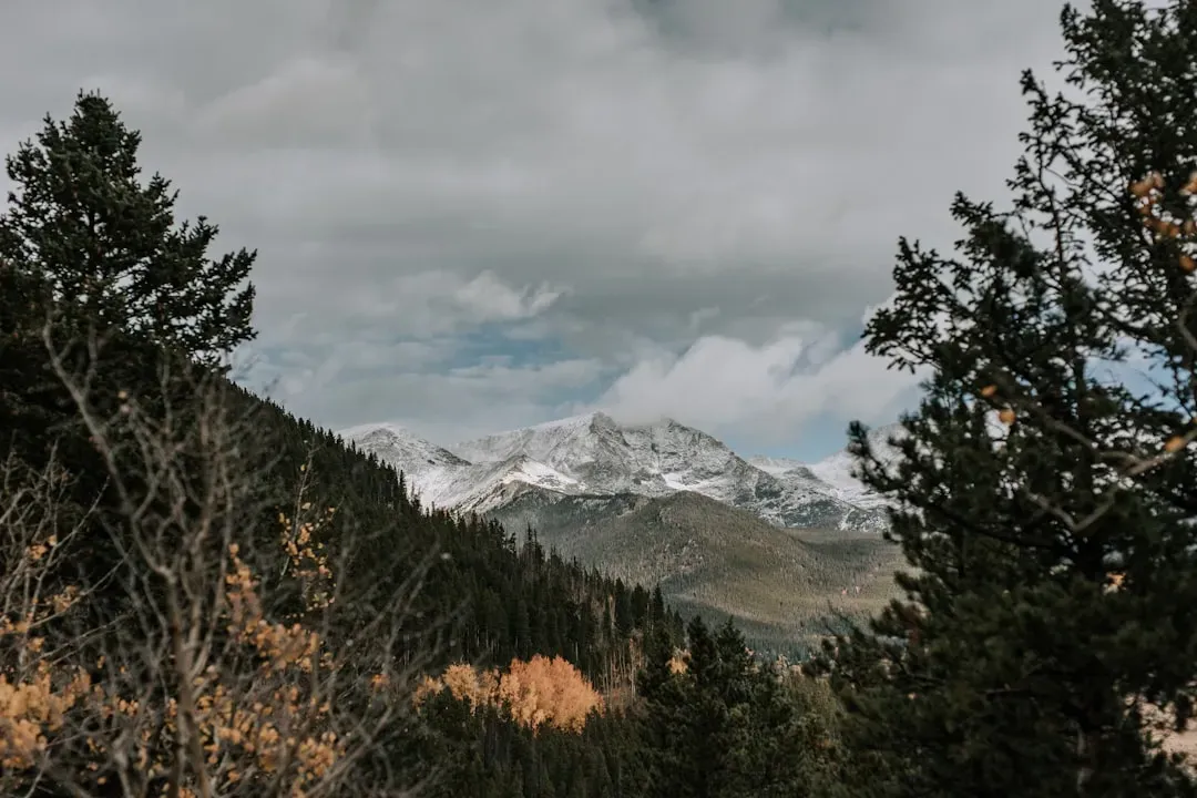 Rocky Mountain National Park (Image Credits: Unsplash)