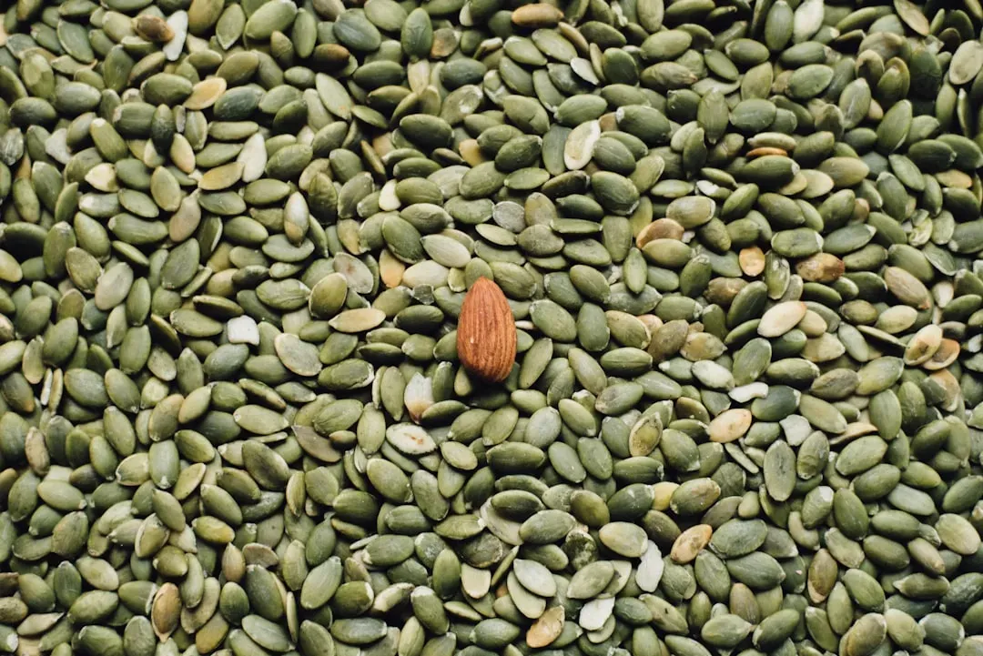Pumpkin Seeds as a Top Solution (Image Credits: Unsplash)