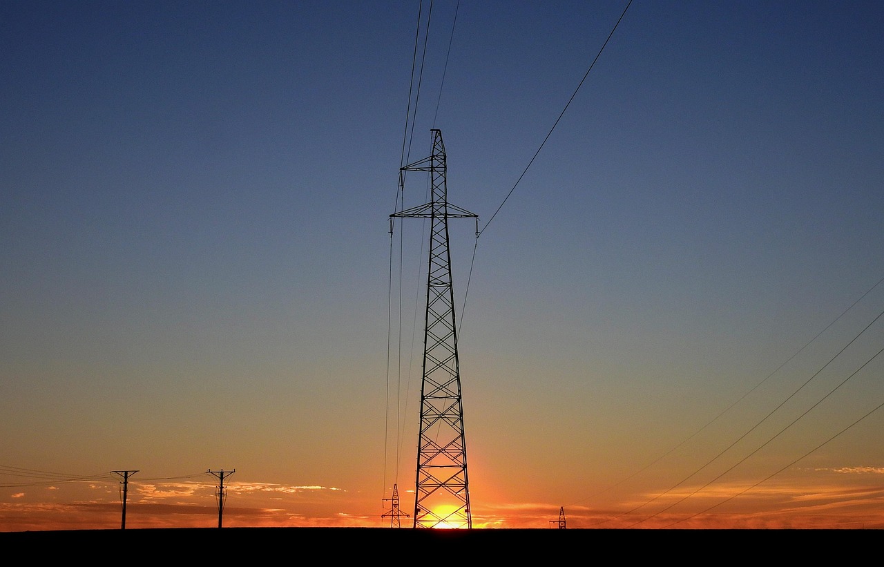 Rural Electrification Opponents: Blocking the Power Grid (image credits: pixabay)