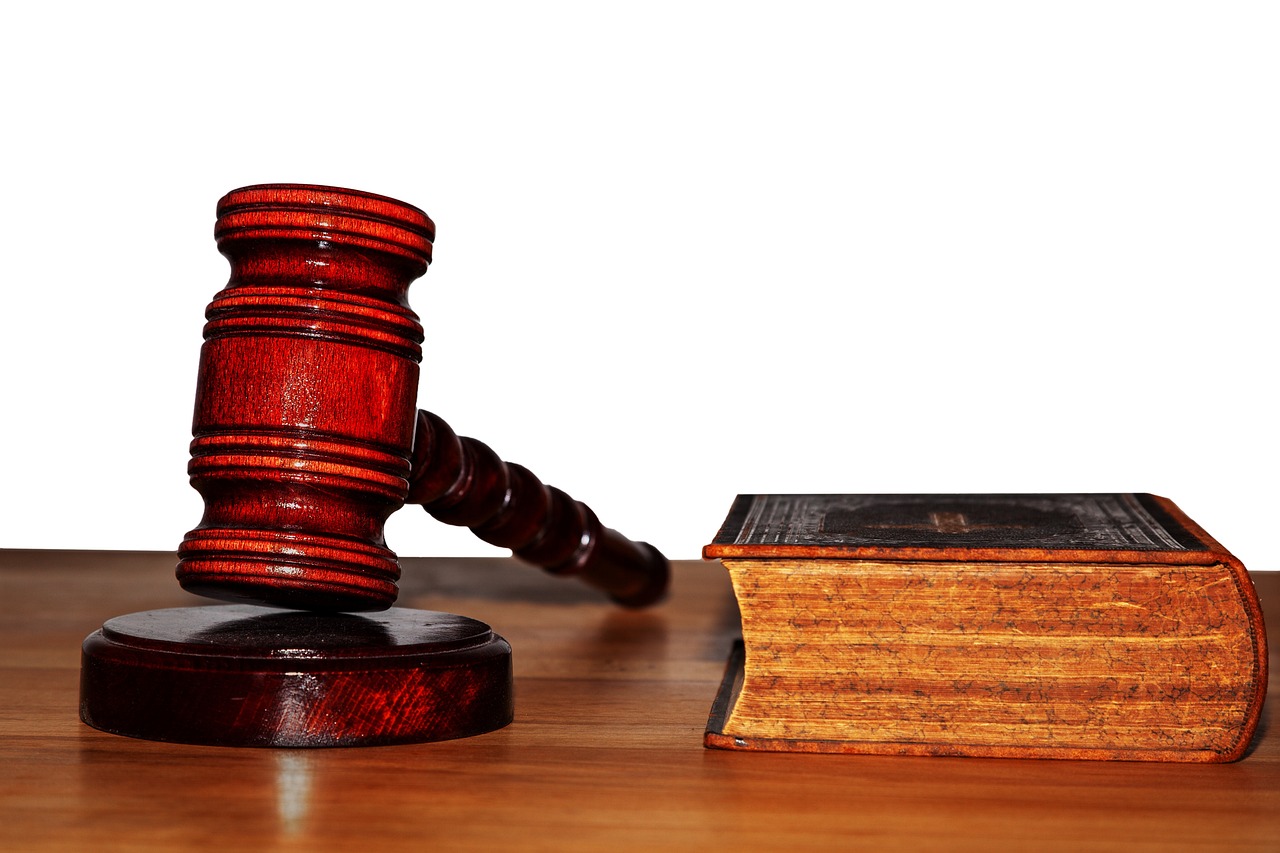 Enduring Impact on Modern Legislation (image credits: pixabay)