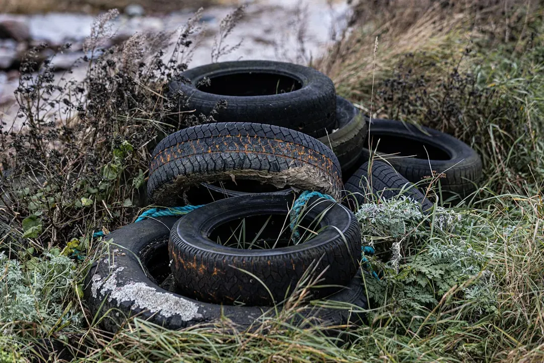 #1. Old Tires (Image Credits: Unsplash)