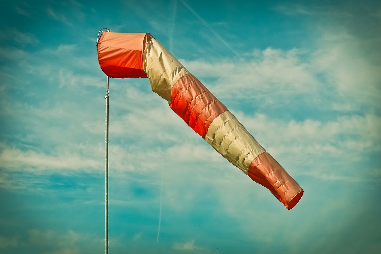 Texas Goes Big With Wind and Solar Dominance (image credits: pixabay)