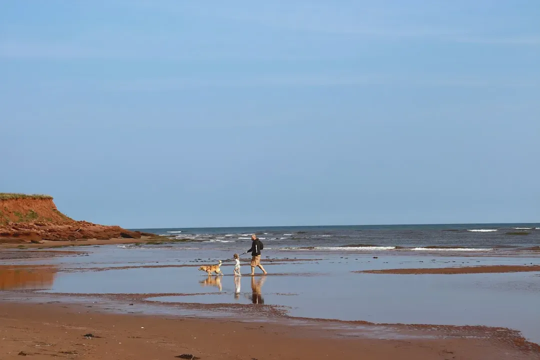 Spontaneous Stops and Discoveries (Image Credits: Unsplash)