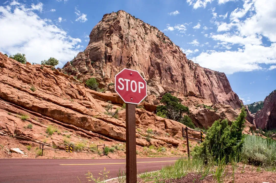 Conclusion: Zion Rewards Respect, Not Recklessness (Image Credits: Unsplash)