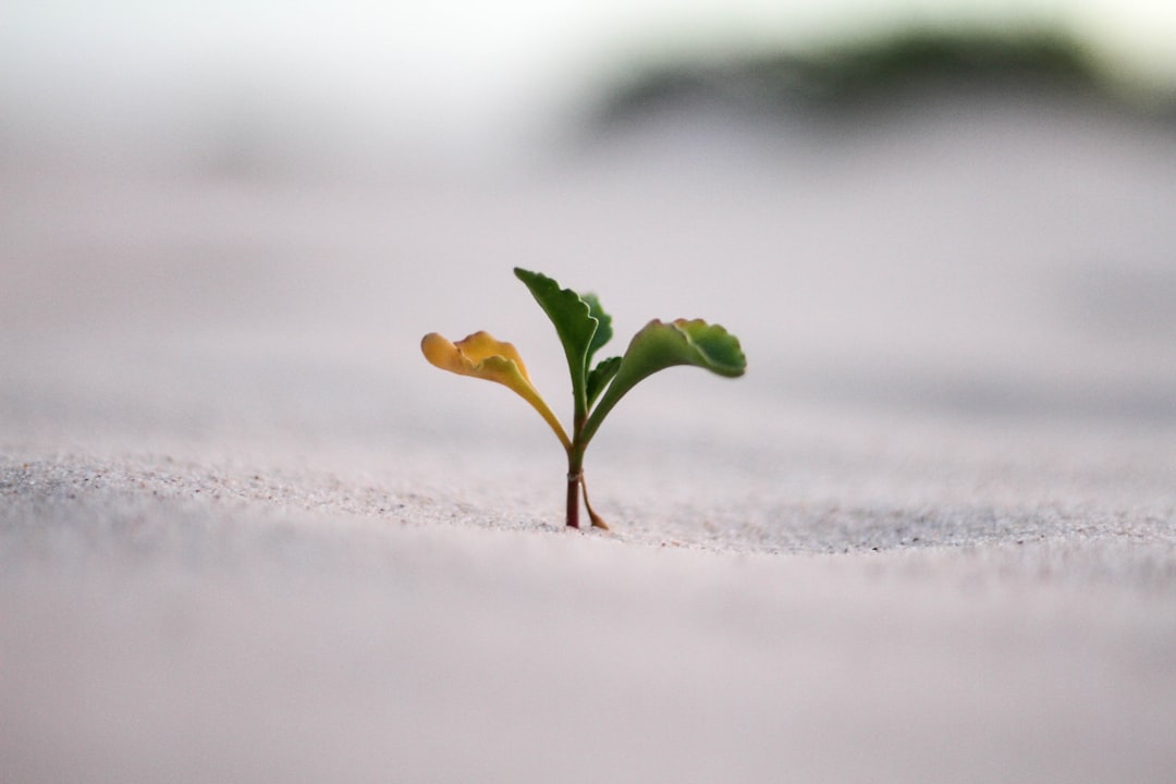 Policy and Incentives Driving Growth (image credits: unsplash)