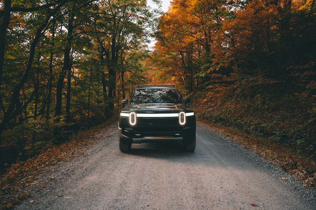Rivian R1T (image credits: unsplash)