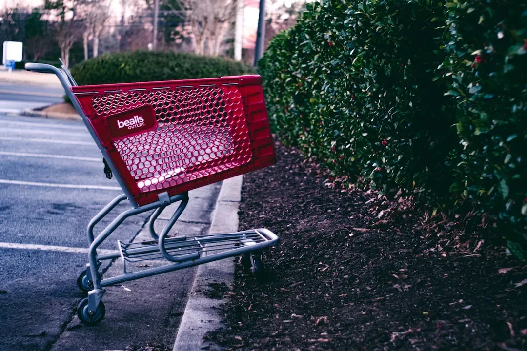 The Impulse Buying Black Hole (Image Credits: Unsplash)