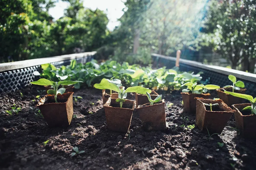 Nutritional Gains and Food Security Through Home Gardens (Image Credits: Unsplash)