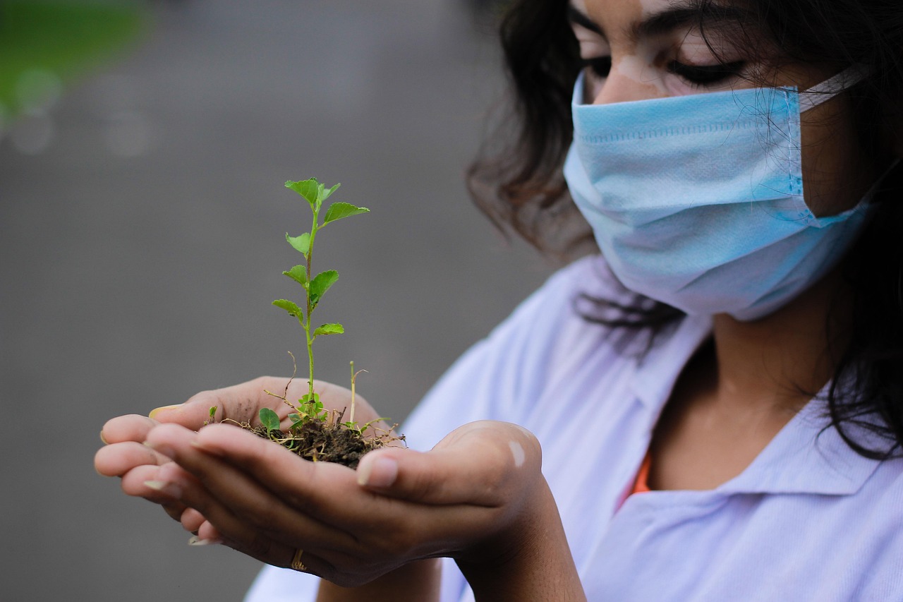 Contemporary Conservation Practices and Technology (image credits: pixabay)