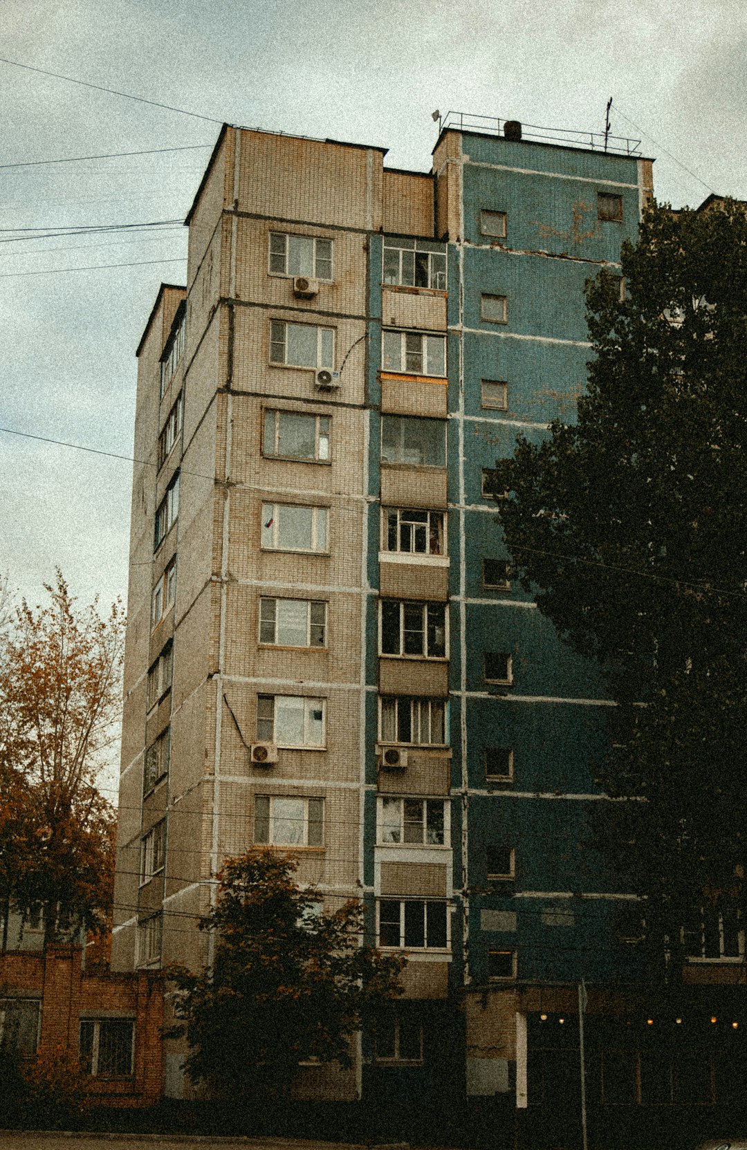 The Economics of Rising from Ashes (image credits: unsplash)