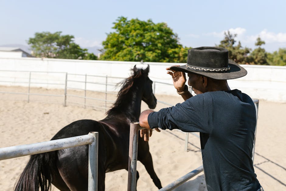 The Future of Cowboy Core in Fashion