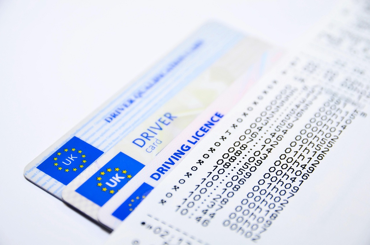 Georgia's Legislative Breakthrough Changes the Game (image credits: pixabay)