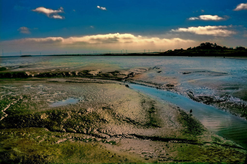 Governor Newsom's Emergency Water Restrictions Take Effect (image credits: flickr)