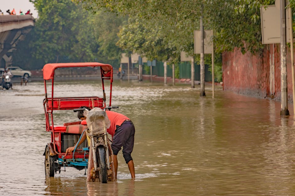 Infrastructure Struggles and Resilience (image credits: pexels)
