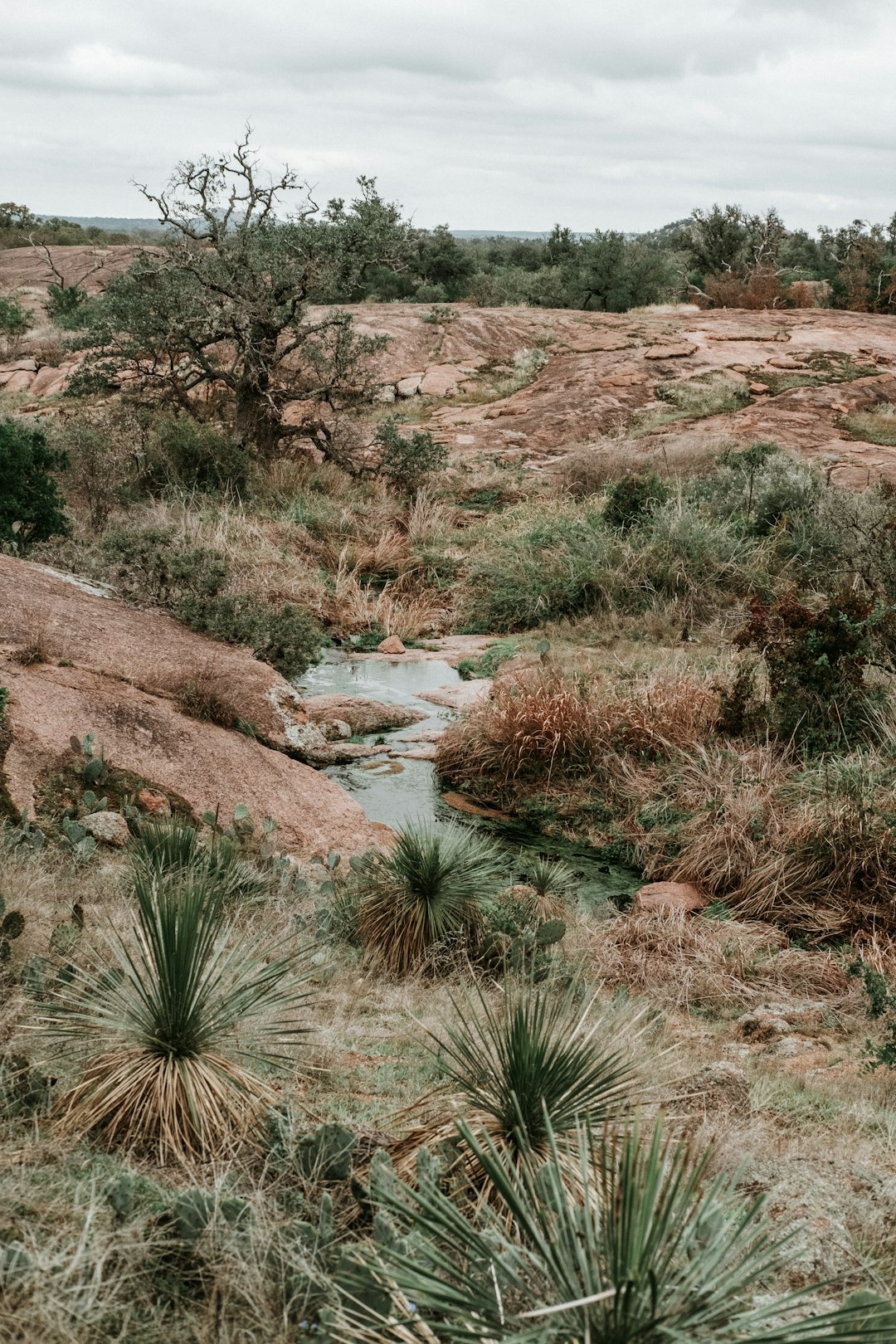 Rural Communities Get Unprecedented Groundwater Protection (image credits: unsplash)