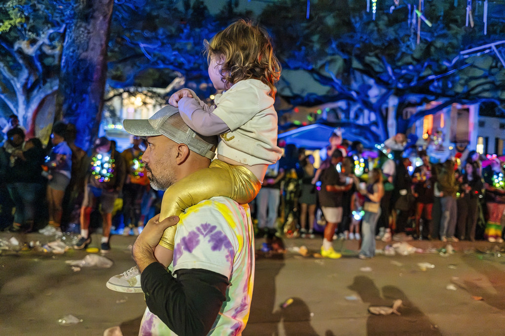 The Diverse Krewes That Paint Louisiana's Carnival Canvas (image credits: flickr)