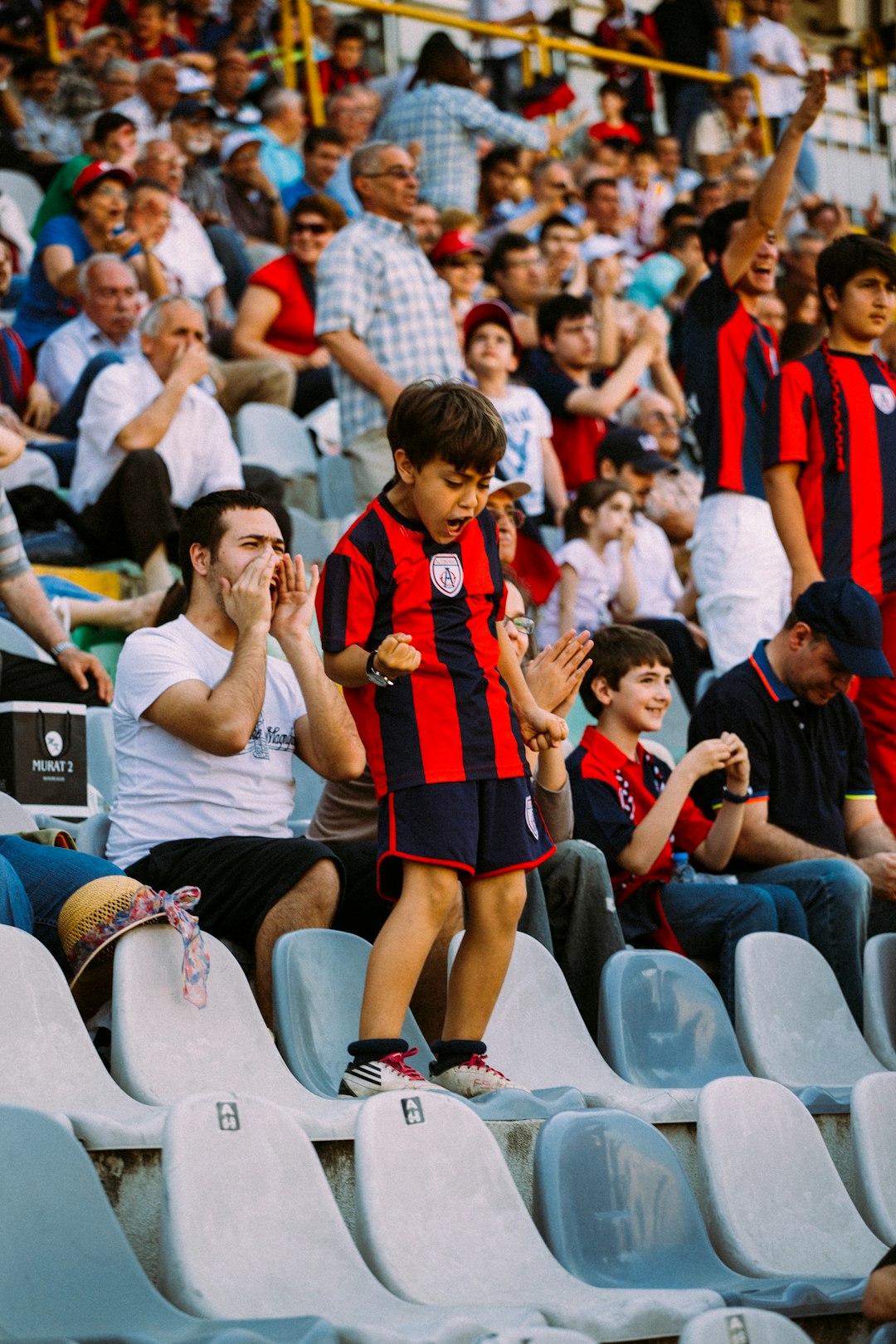 The Sports Obsession That Transcends Games (image credits: unsplash)