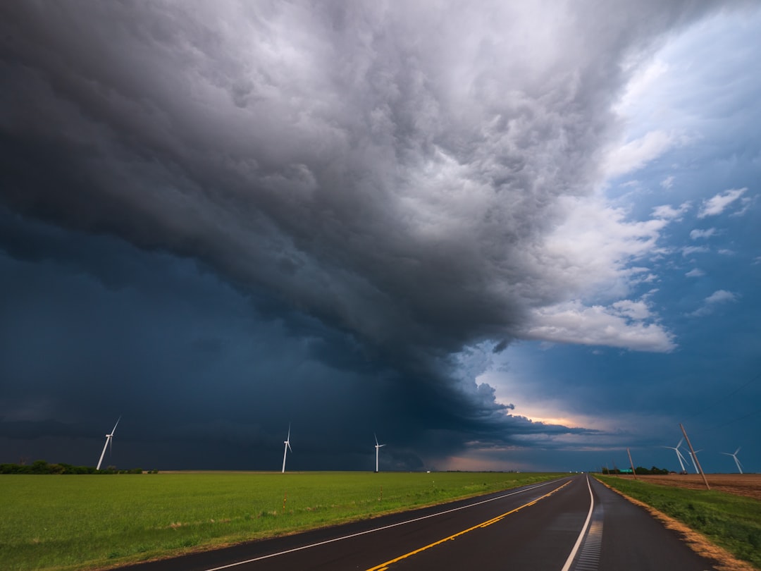 Geographical Influences: Why Texas? (image credits: unsplash)