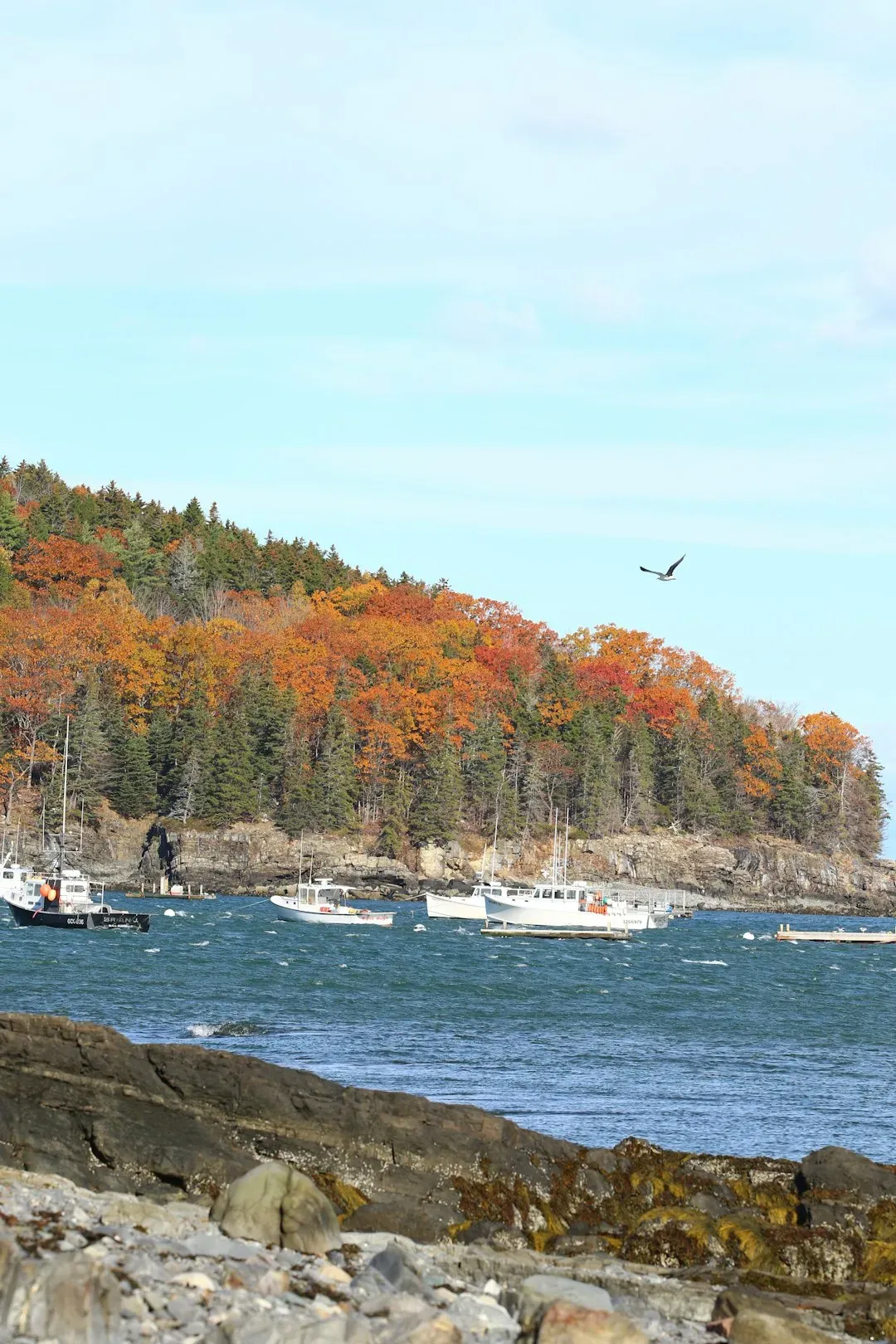10. Coastal Maine: Lobster, Lighthouses, and the Most Beautiful Autumn in America (Image Credits: Unsplash)