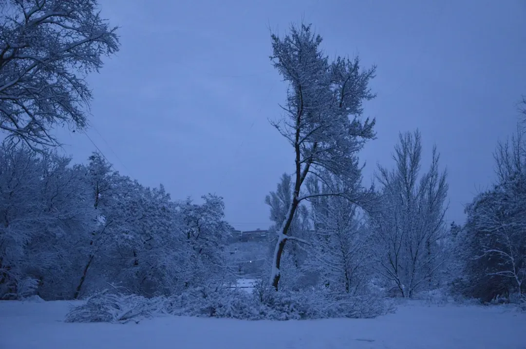 I-40's Chilling Close Call (Image Credits: Unsplash)