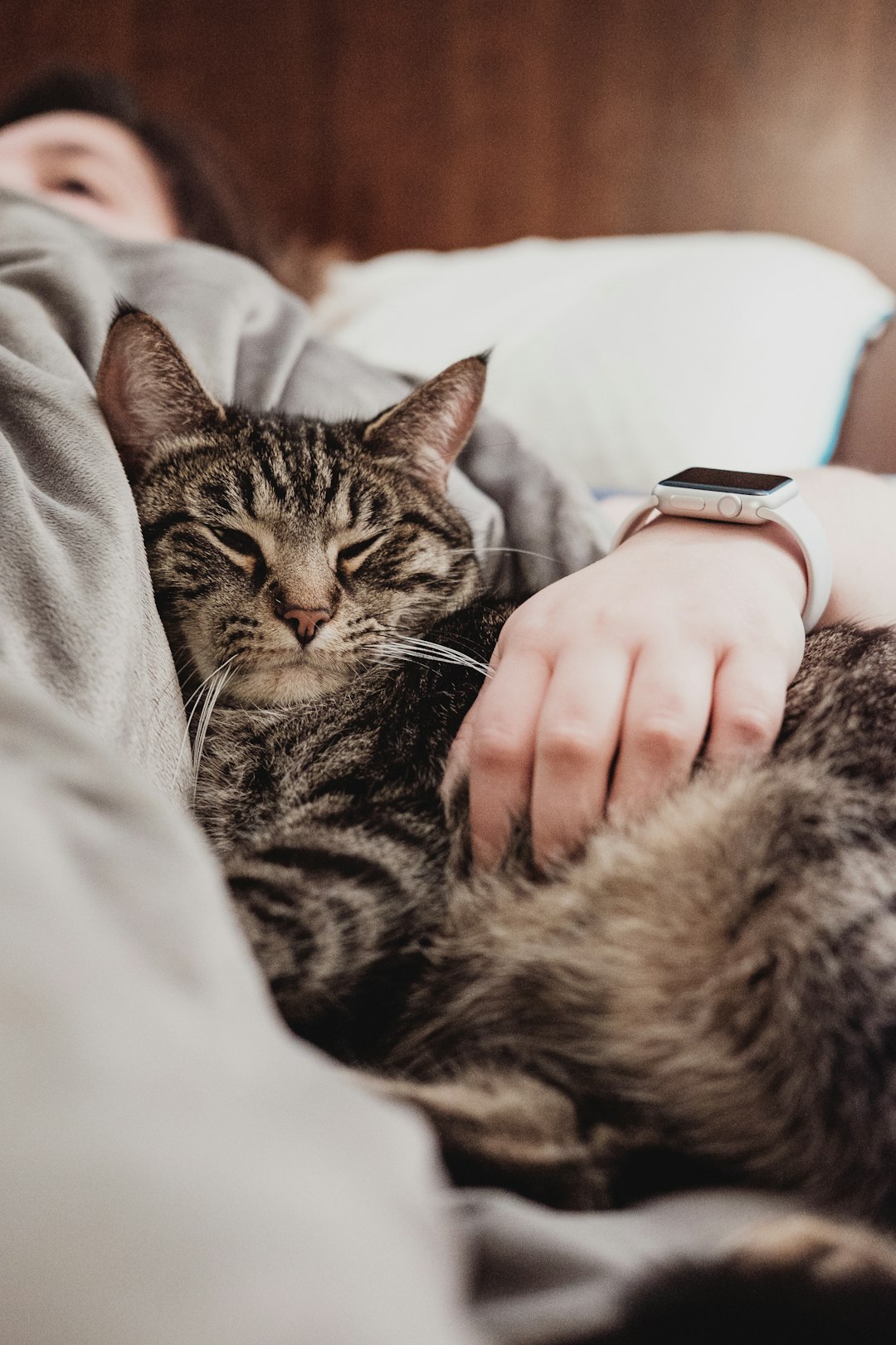 AI-Powered Pet Health and Behavior Analysis (image credits: unsplash)