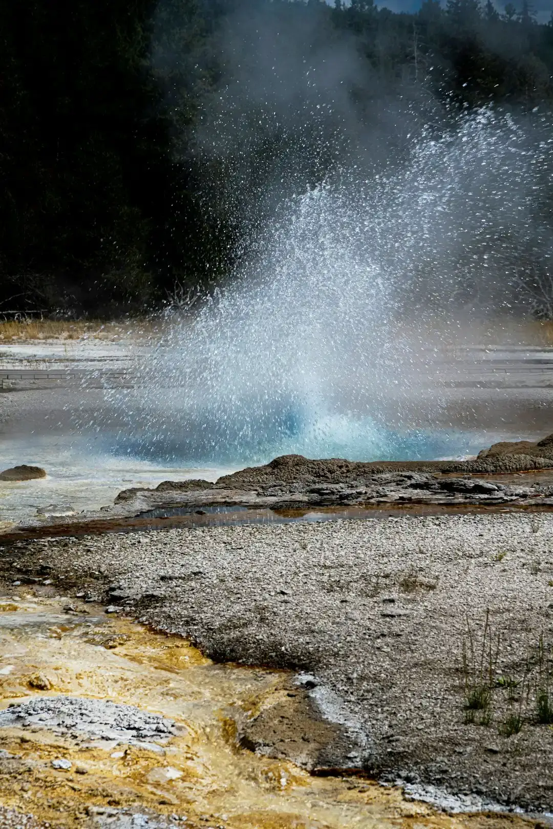 Yellowstone National Park: A Geothermal Wonderland (Image Credits: Unsplash)
