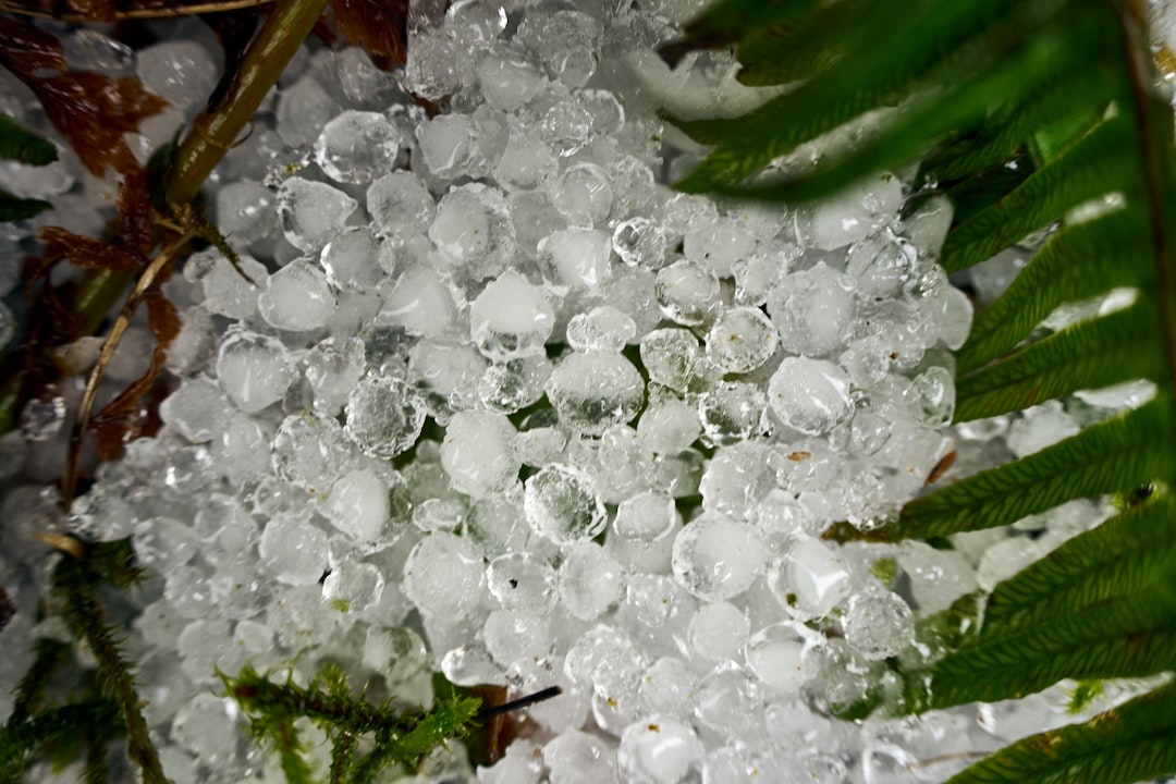 Texas Leads the Nation in Devastating Hail Events (image credits: unsplash)