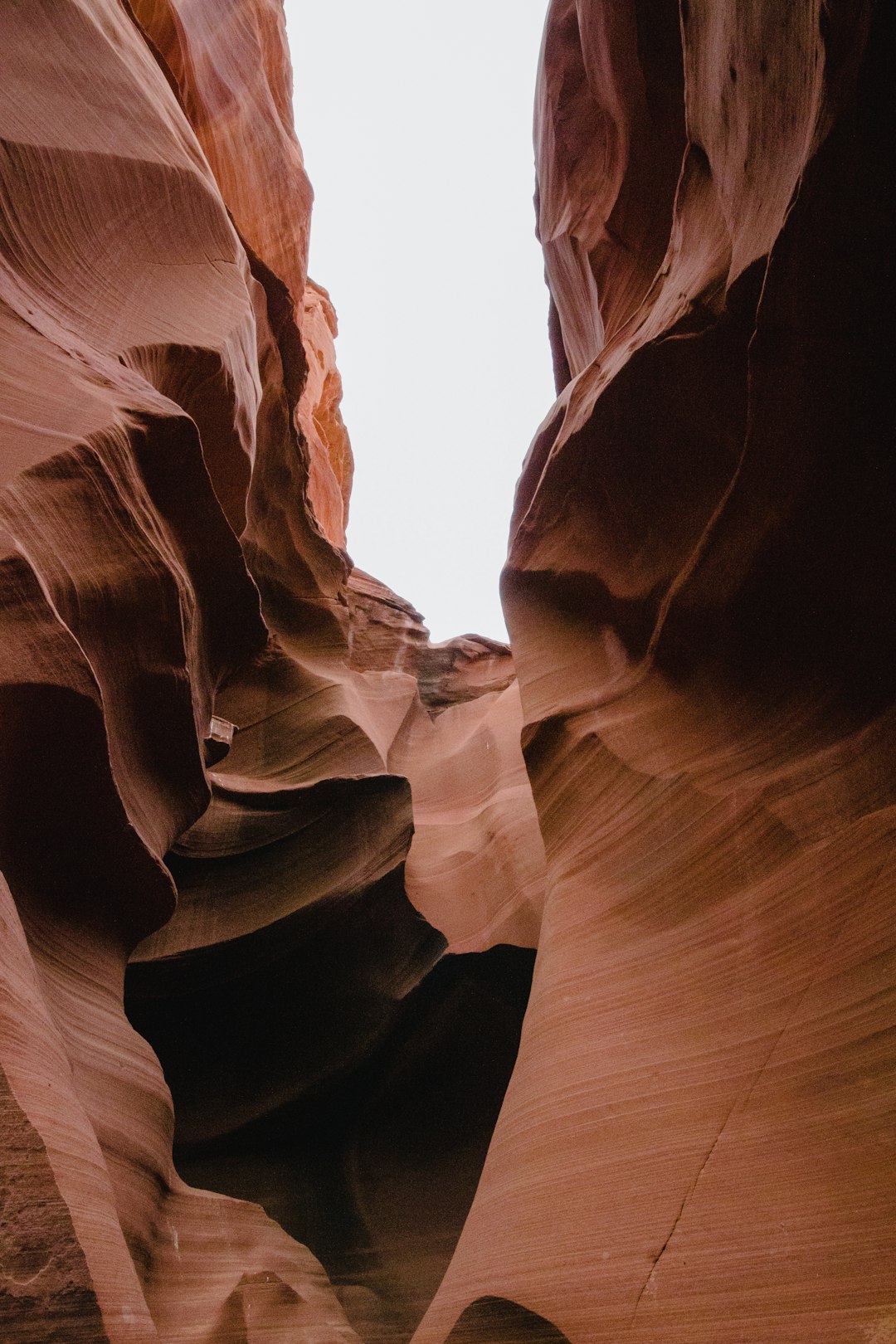Rattlesnake Canyon's Undulating Masterpiece (image credits: unsplash)