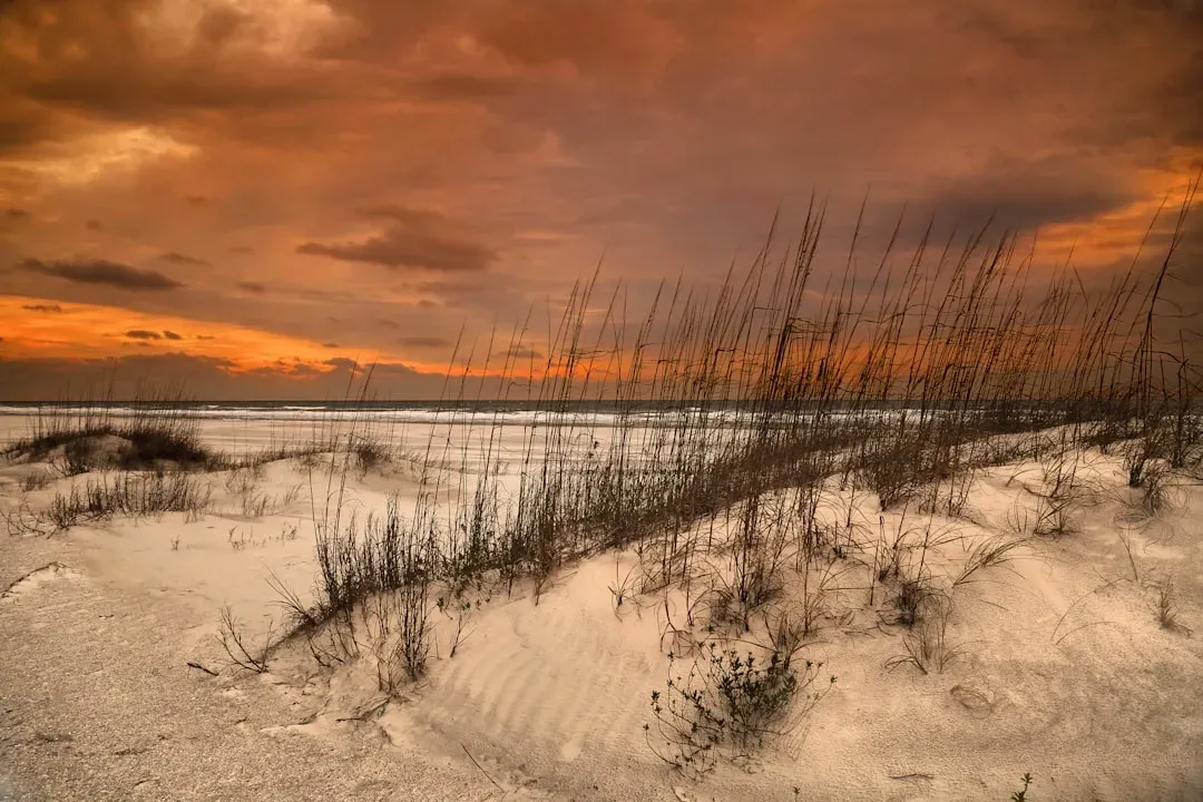 Unusually Warm Sea Surface Temperatures (Image Credits: Unsplash)