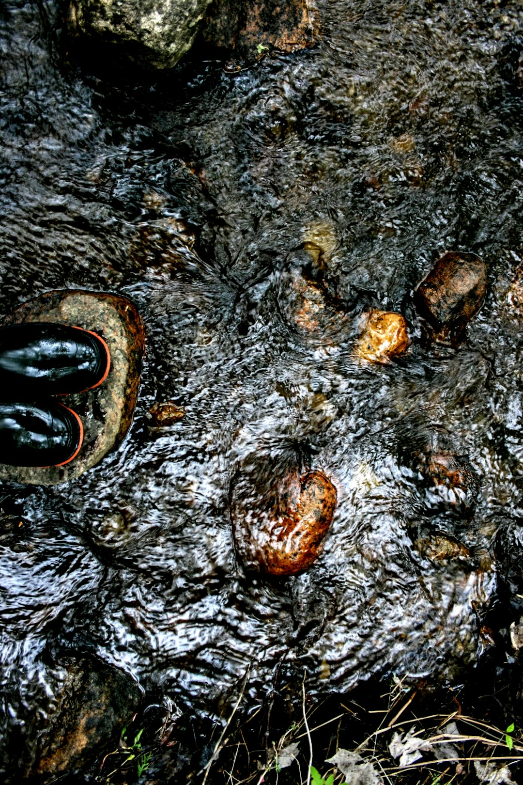 Used Cooking Oil Suffocates Your Garden (image credits: unsplash)