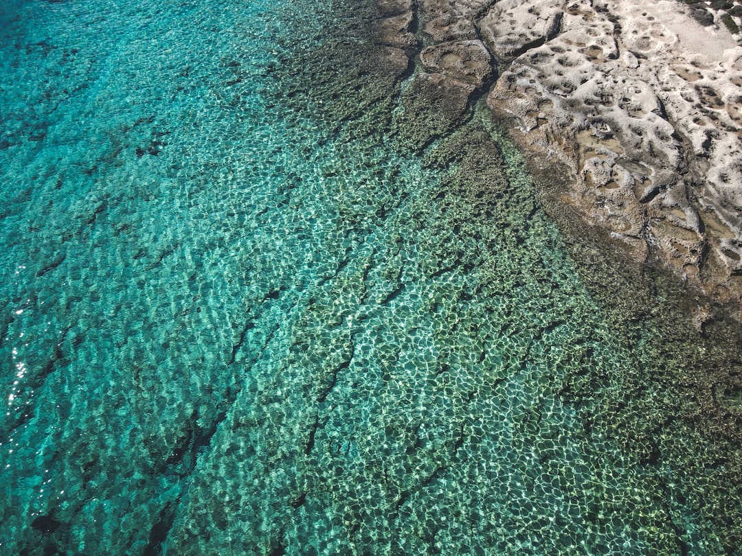 Natural Defenses Are Being Overwhelmed (image credits: unsplash)