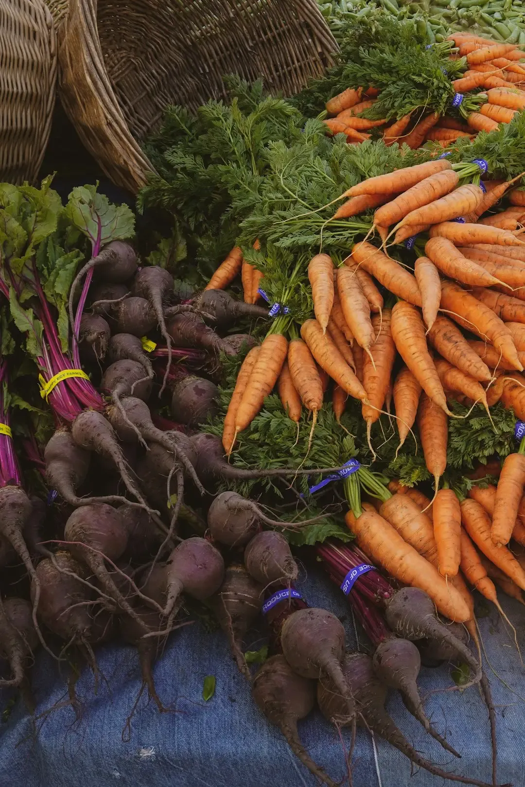 Capricorn: Root Vegetables and Storage Crops (Image Credits: Unsplash)