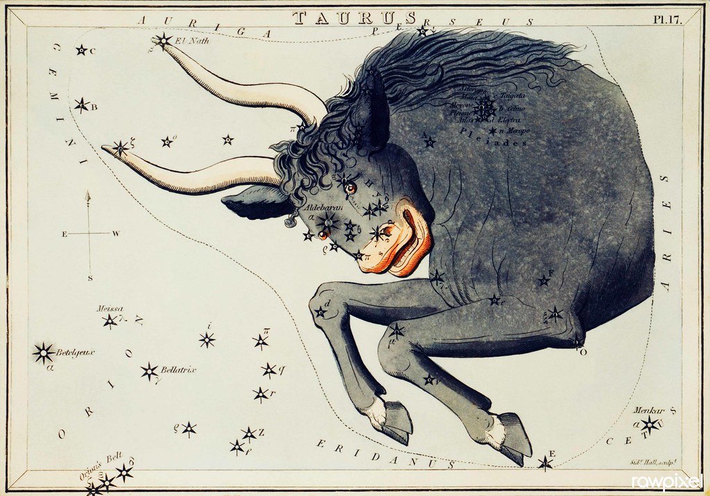 Taurus: The Hidden Artist Within (image credits: flickr)