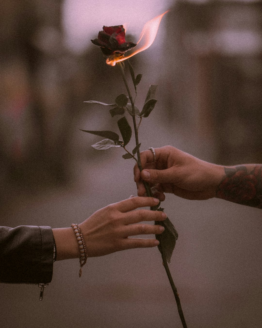 The Romance Addict: Libra (image credits: unsplash)