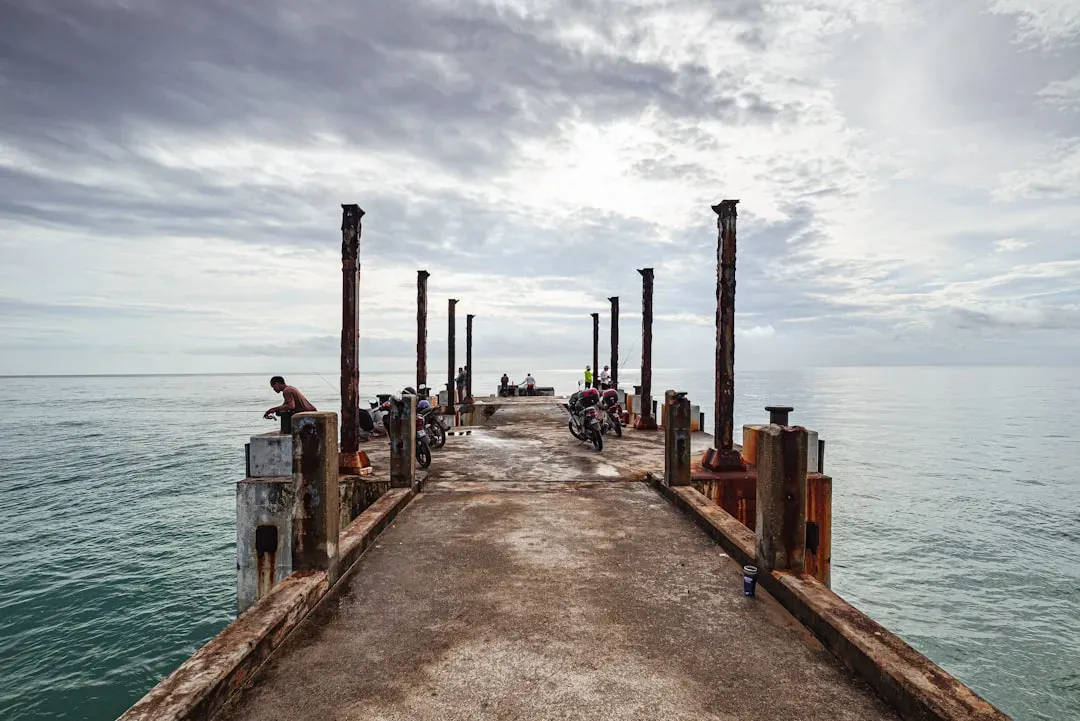 Embracing the Quiet Power (Image Credits: Unsplash)