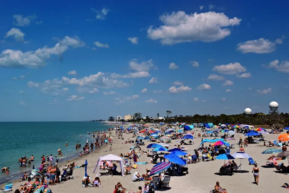 Florida Completes the Top Three (Image Credits: Pexels)
