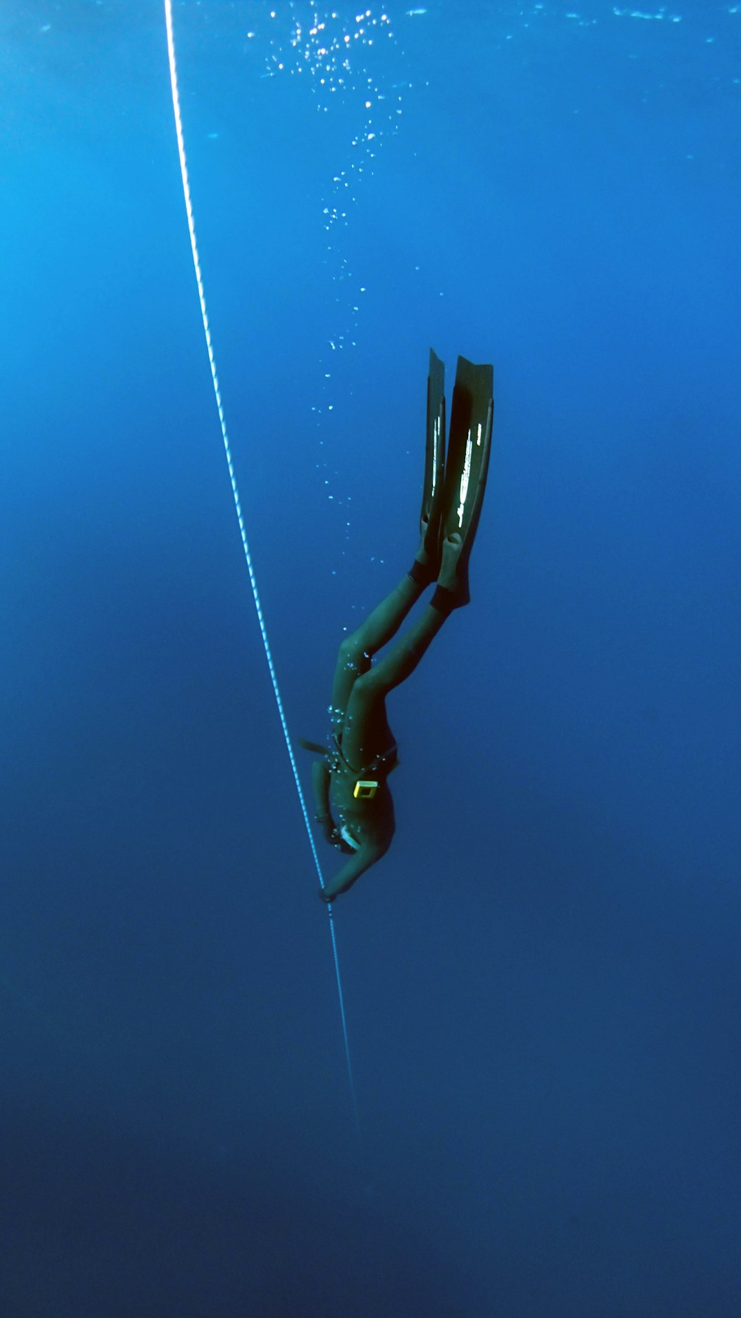 Underwater Cables Connect the Impossible (image credits: unsplash)