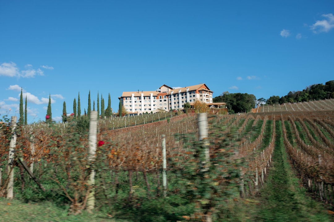 Gervasi Vineyard's Tuscan-Inspired Retreat in Ohio (image credits: unsplash)