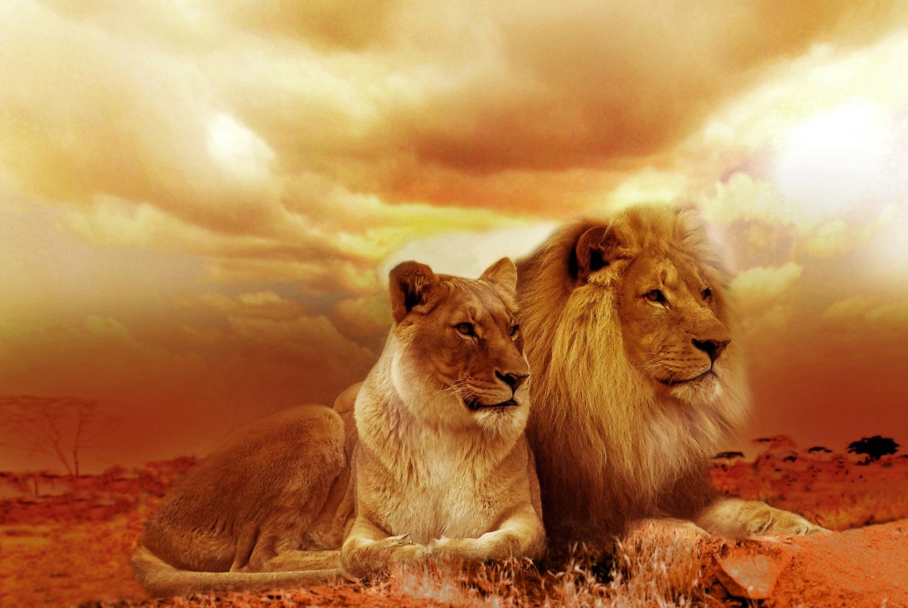 Leo: Stepping into Their Authentic Power (Image Credits: Pixabay)