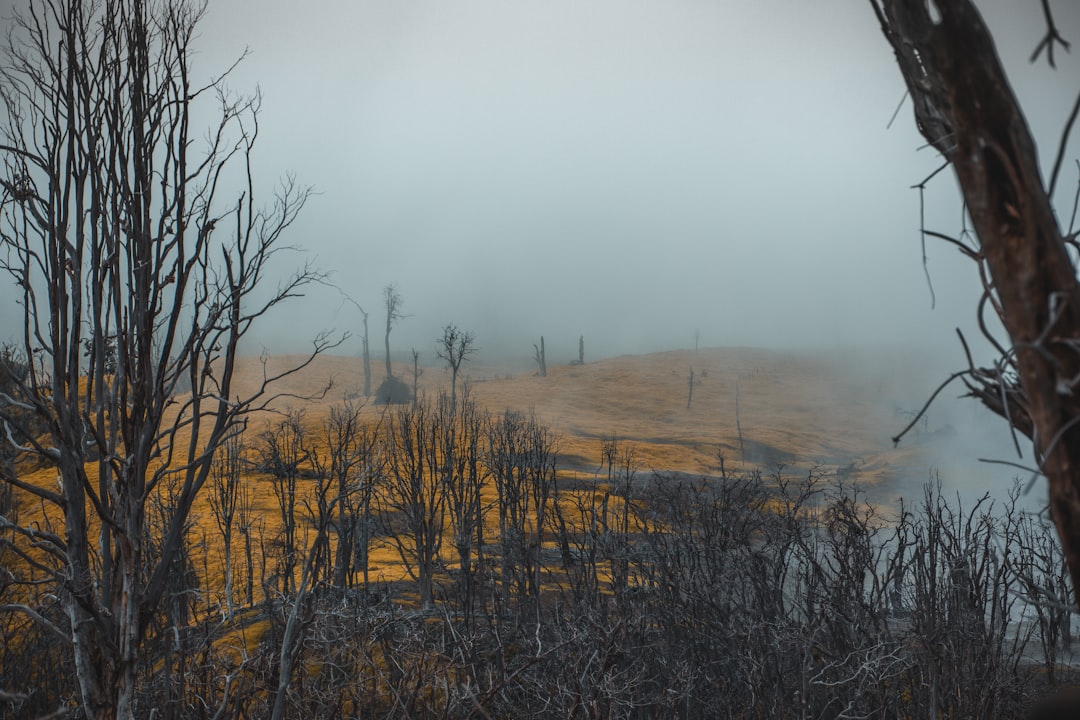 Water Infrastructure Protection Becomes Priority (image credits: unsplash)