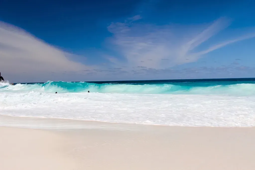 Earliest Tropical Wave on Record (Image Credits: Rawpixel)