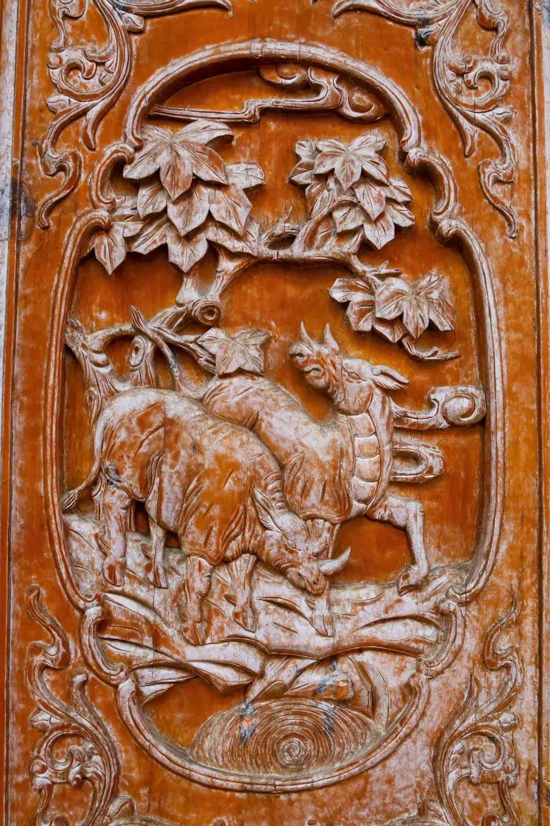 Capricorn: Finally Released From Decades Of Pressure (Image Credits: Unsplash)