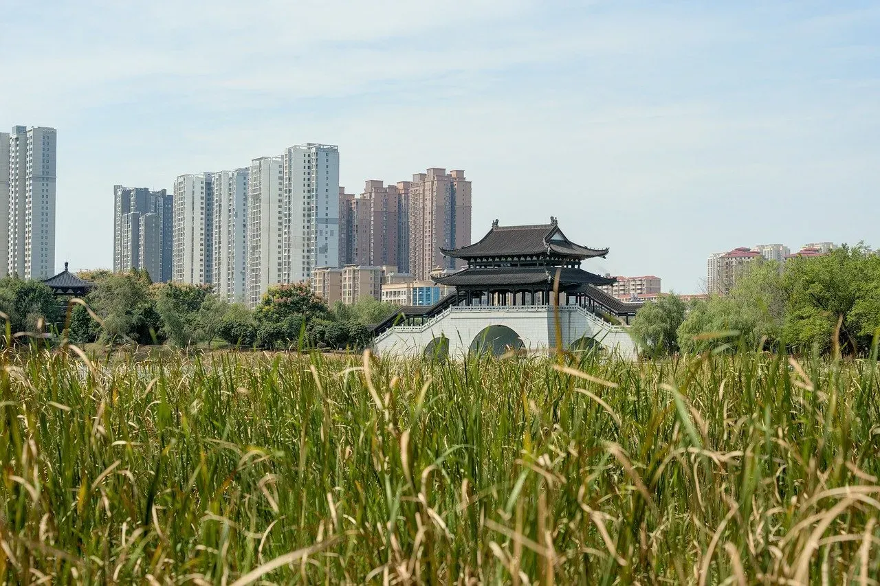 Urban vs. Rural Preferences Vary by Personality (Image Credits: Pixabay)