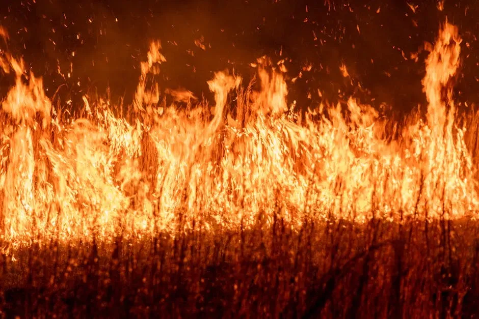 4. Leo: Burnout from Perfection Ends in Authentic Fire (Image Credits: Pexels)