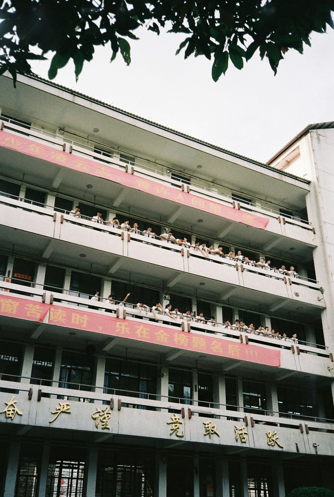 Schools Bursting at the Seams (image credits: unsplash)