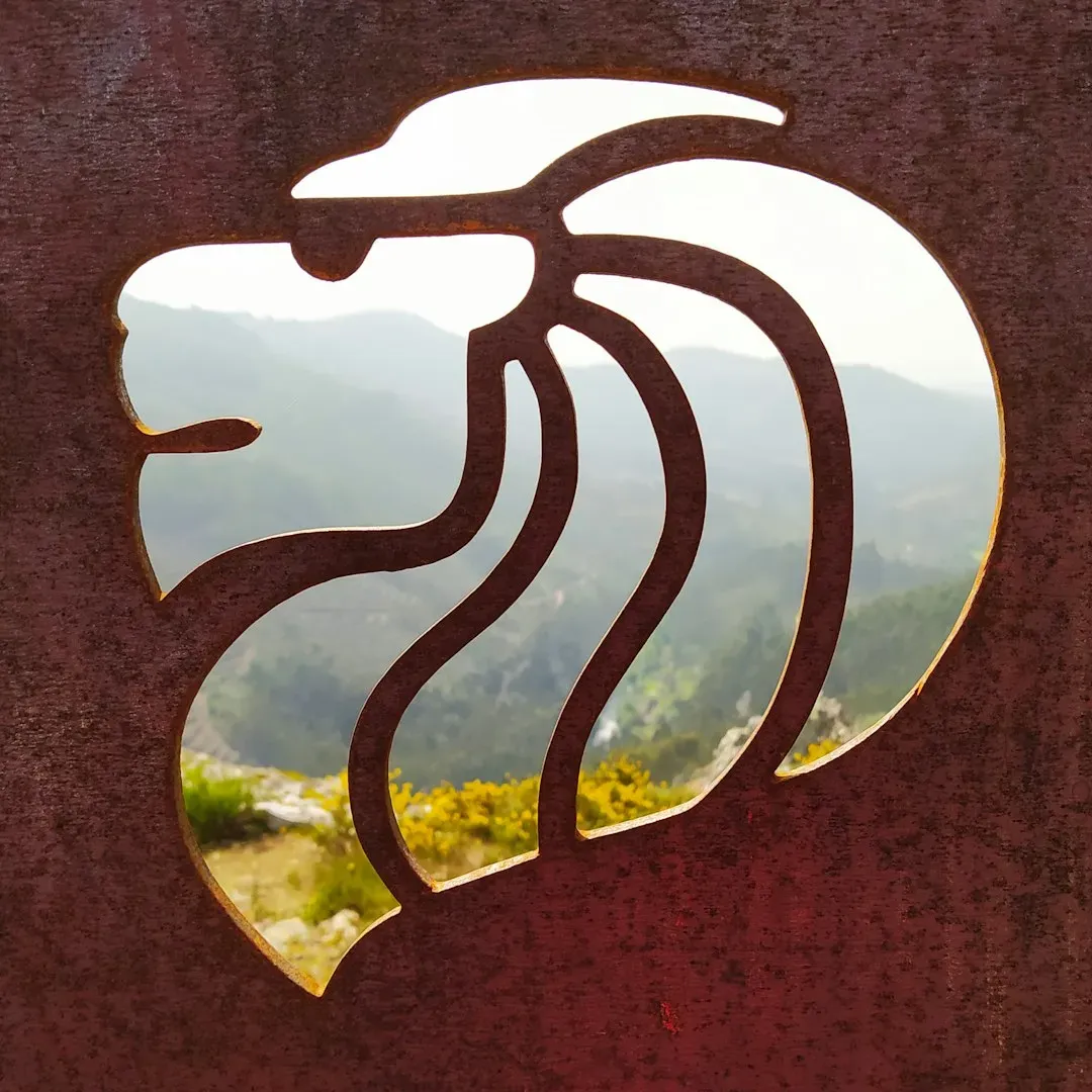 Leo (Image Credits: Unsplash)