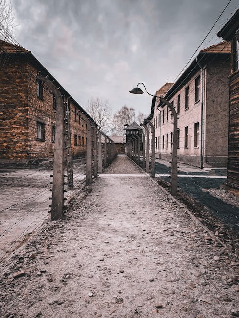 Historical Context and Background (image credits: pexels)