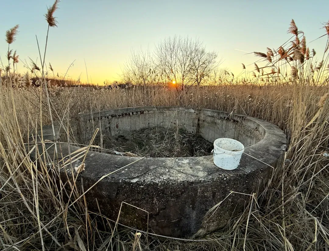 Groundwater Gulped Away (Image Credits: Unsplash)