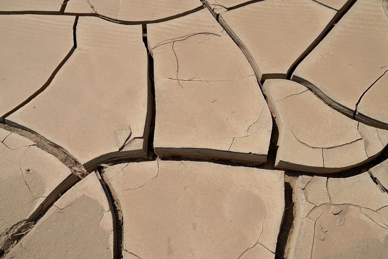 Economic Impacts Spreading Beyond Agriculture (image credits: pixabay)